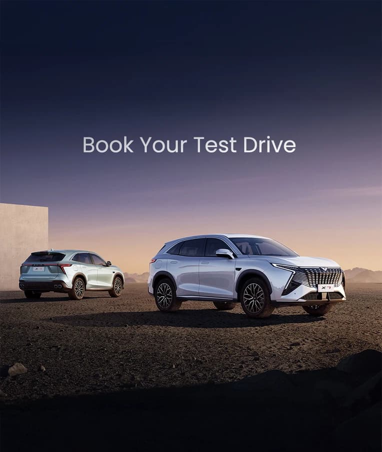 Test Drive Landscape